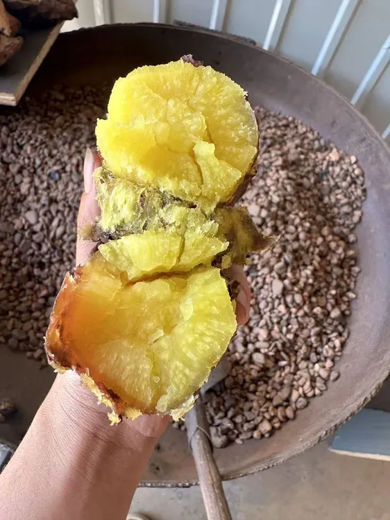 新鲜现挖黄心榴莲蜜薯软糯香甜