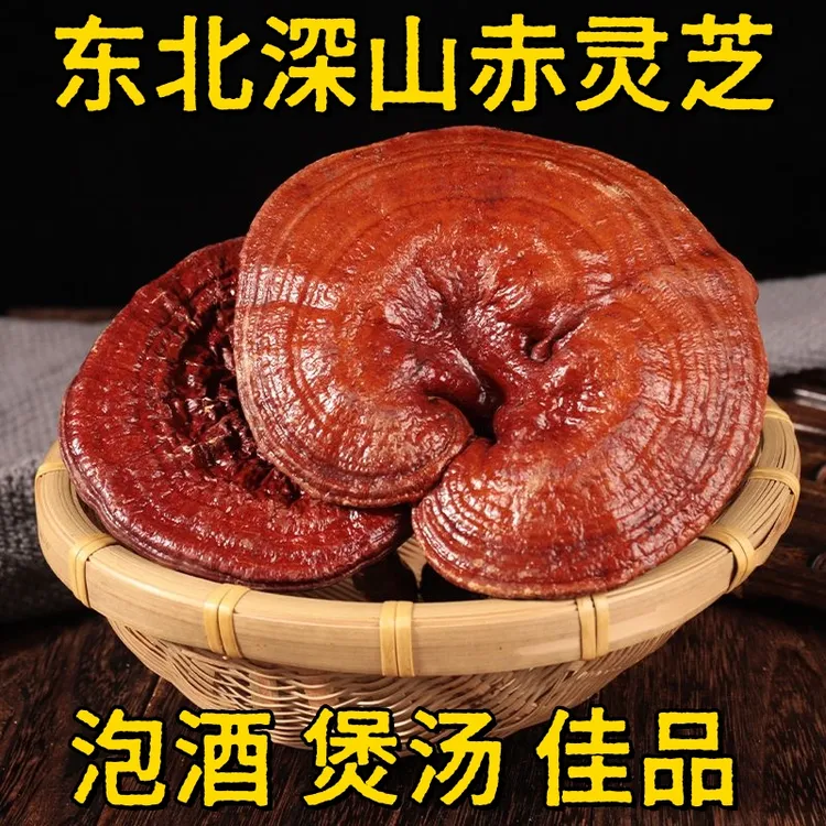 长白山深山赤灵芝整支干货可煮水泡酒煲汤灵芝个大灵芝新货灵芝片