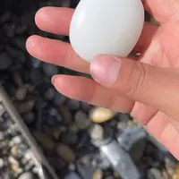 圆润饱满无瑕疵的