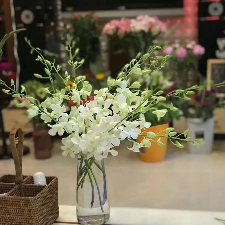 泰国进口洋兰白色紫色粉色鲜切花办公室内客厅水养插花云南直发