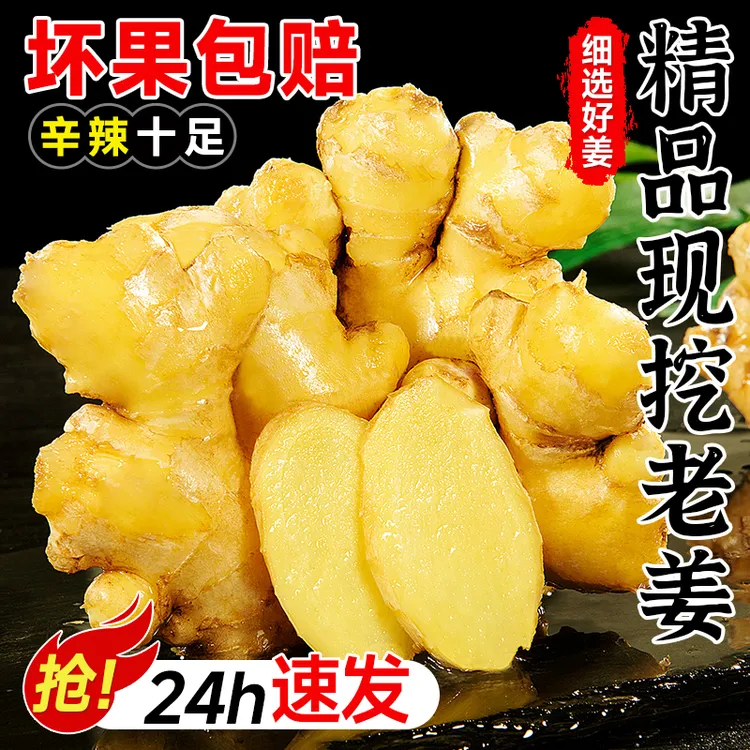 老姜生姜大姜大黄姜风干姜优质姜新鲜纯天然老姜现挖大块老姜批发