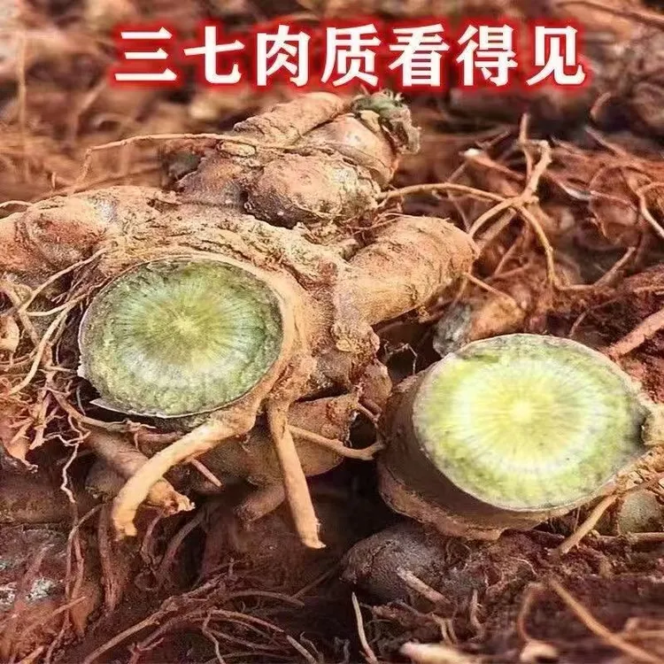 现挖带根新鲜三七云南文山三七头适合泡酒煲汤三七头云南文山