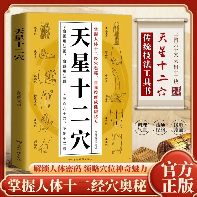 天星十二穴官方正版掌握人体十二经穴奥秘自我按摩成健康达人中医