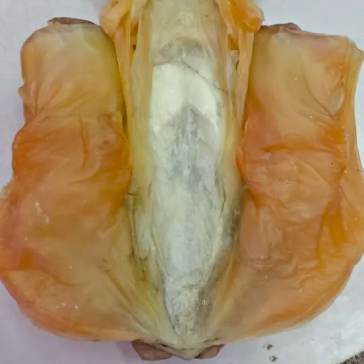 汕尾马宫本港墨鱼干6个