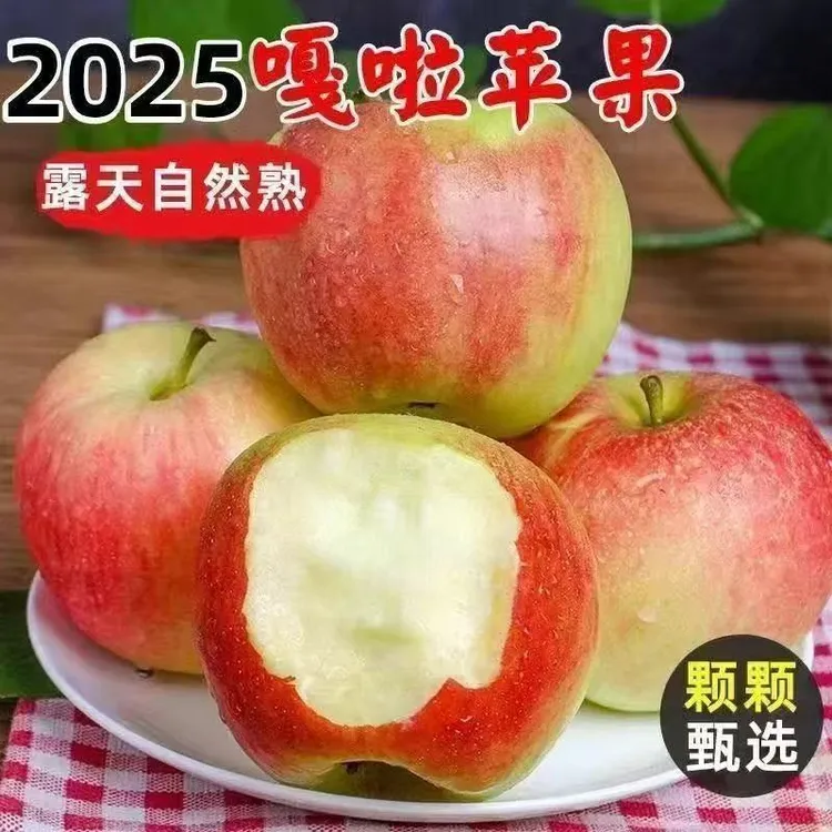 【脆甜可口】嘎啦苹果新鲜水果小苹果买5斤送5斤包邮2025年新苹果