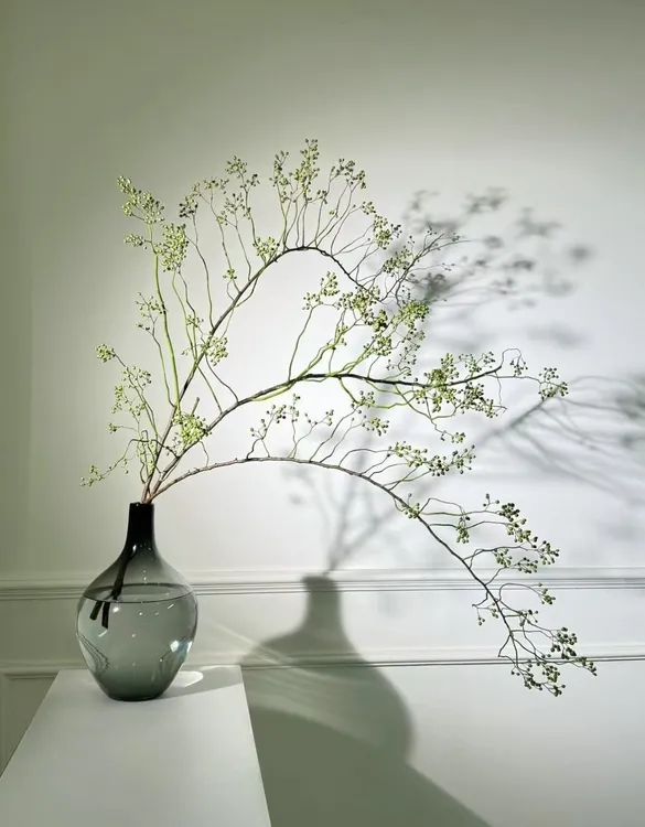山归来 鲜切枝蔷薇果鲜花水培植物水养插花花卉植物