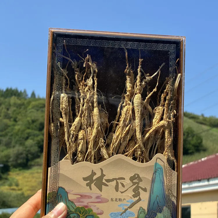 【书记推荐】长白山林下参12年~13年 泡酒礼盒高龄！送礼 ！25克