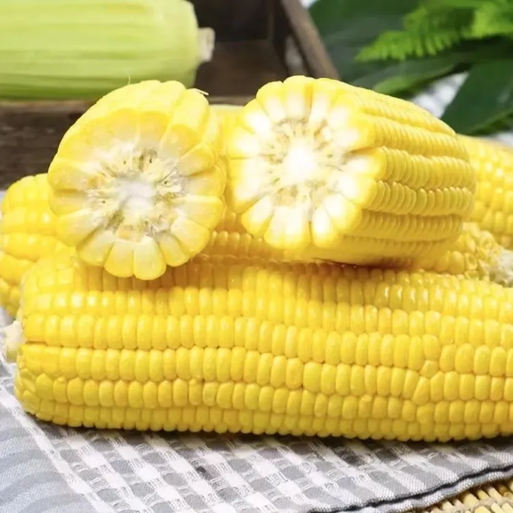 【玉米新鲜】米生吃甜脆金银玉米棒子3/8斤非粘糯黏苞玉米产地直发