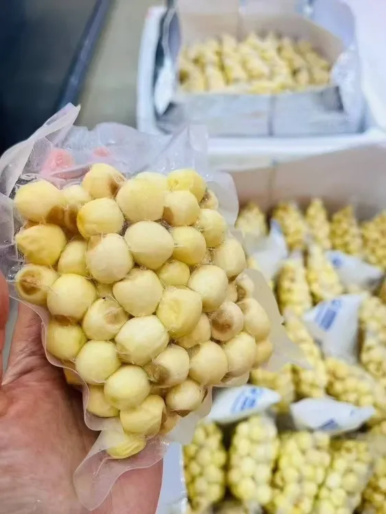 哆头螃蟹姐新鲜莲子