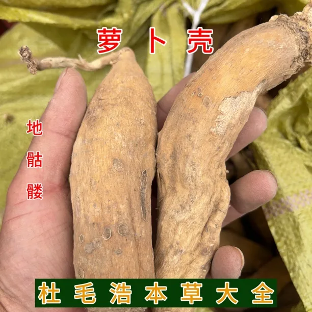 地骷髅中药材仙人骨空莱菔枯萝卜根萝卜壳老仙人头地枯萝气