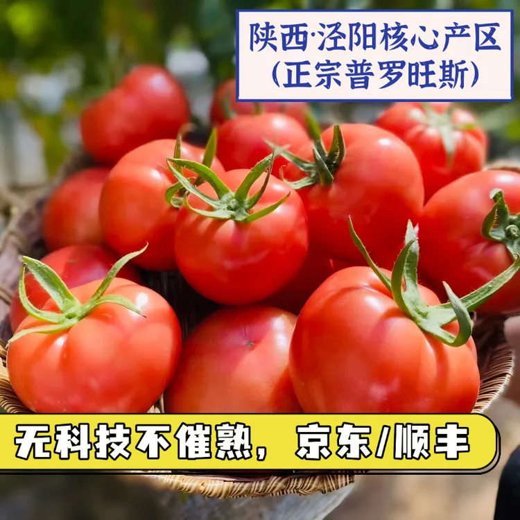 【京东/顺丰】陕西泾阳普罗旺斯水果西红柿番茄新鲜采摘3/4.5-5斤