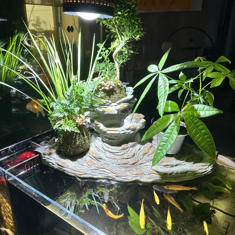 玻璃鱼缸摆件适合客厅书房茶室办公室造景过滤