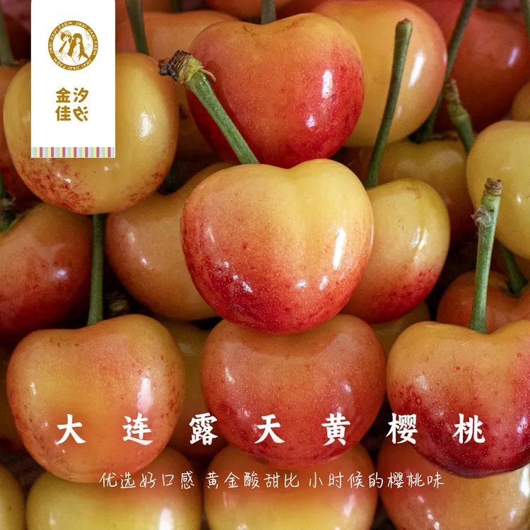 金汐佳汐【大连露天黄樱桃】蜜甜爆汁 黄金甜酸比 2-3斤 1-3J 顺丰