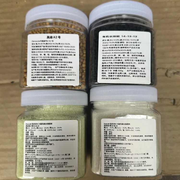 朱顶红 紫根兰 奥绿  花多多