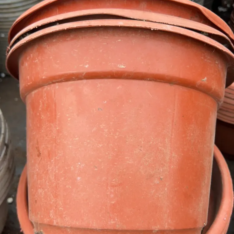 多肉旧花盆 25口径红圆盆19高  5个