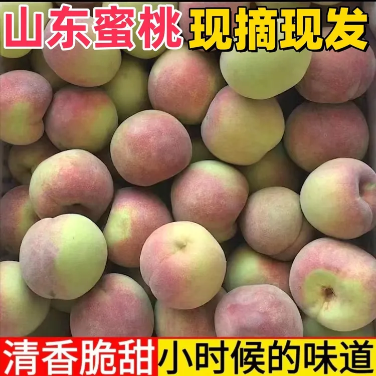 【青州蜜桃】新鲜现摘离核脆甜青皮脆桃多汁应季新鲜孕妇水果3-5斤