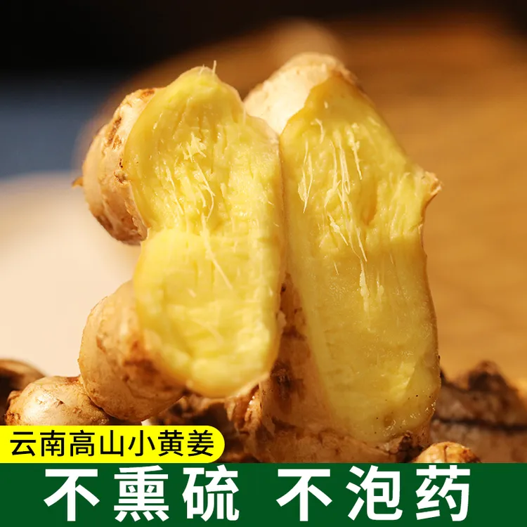 云南高山生态姜新鲜现挖小黄姜无硫磺3斤/5斤/9斤产地直发
