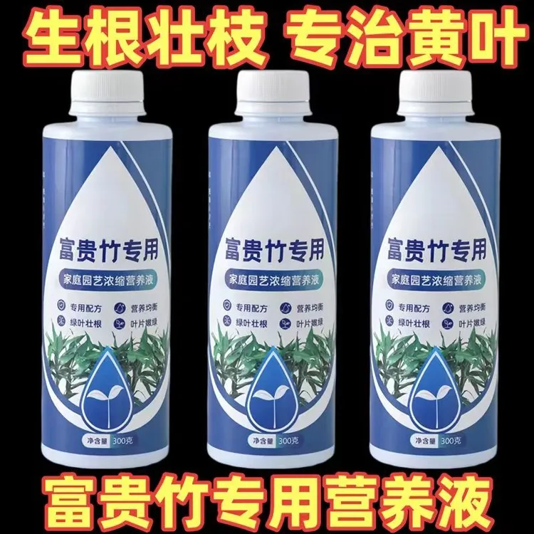 富贵竹专用营养液发财观音竹水培植物铜钱草绿通用盆栽养花专用肥