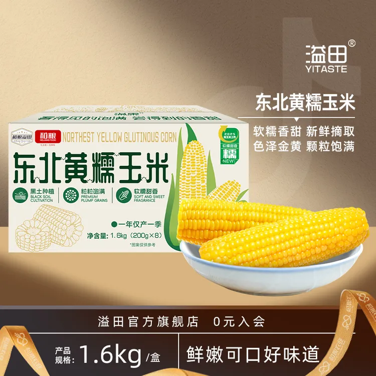 【25年新玉米】溢田东北黄糯玉米非转基因真空包装粗粮玉米棒8只/箱