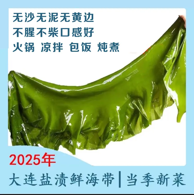 【2025年大连特产鲜嫩海带】盐渍海带五斤含包装凉拌饭包炖炒菜煲汤