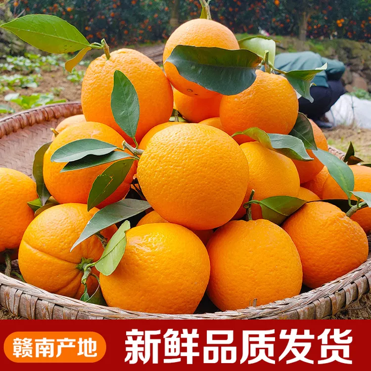 现摘正宗赣南脐橙寻乌应季水果新鲜橙子产地直发特产好吃大果礼盒