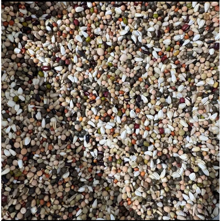 无小麦育雏喷窝鸽粮10斤包邮