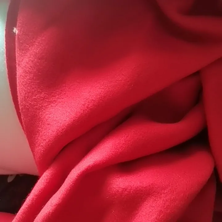 1.75米宽红色纯棉卫衣绒布料清仓处理运动套装用的面料