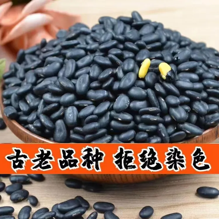 纯黑豆农家肾形黑豆黄心黑豆健康粗粮煮粥 打豆浆 醋泡 黑豆煮水