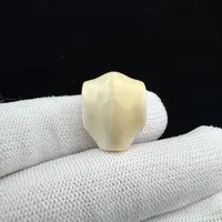 K6684天然猛犸 芝士皮鲨鱼背 三通14.7*18.5mm一物一图 假一罚十