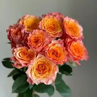 【火灵鸟玫瑰】云南鲜花浪漫带回家插花优质新鲜高品质