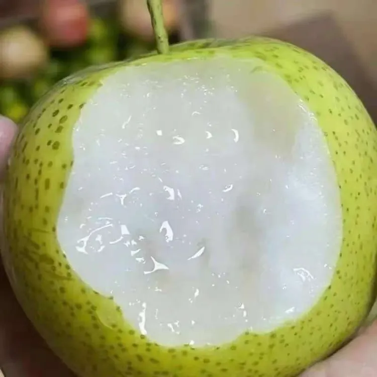 【坏果包赔】正宗砀山皇冠梨青皮蜜梨脆甜多汁新鲜水果梨砀山梨皮薄