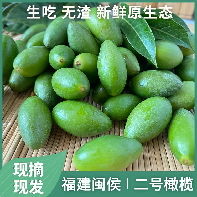 新鲜橄榄原味二号青橄榄福州檀香橄榄果入口酸涩青果水果原生态
