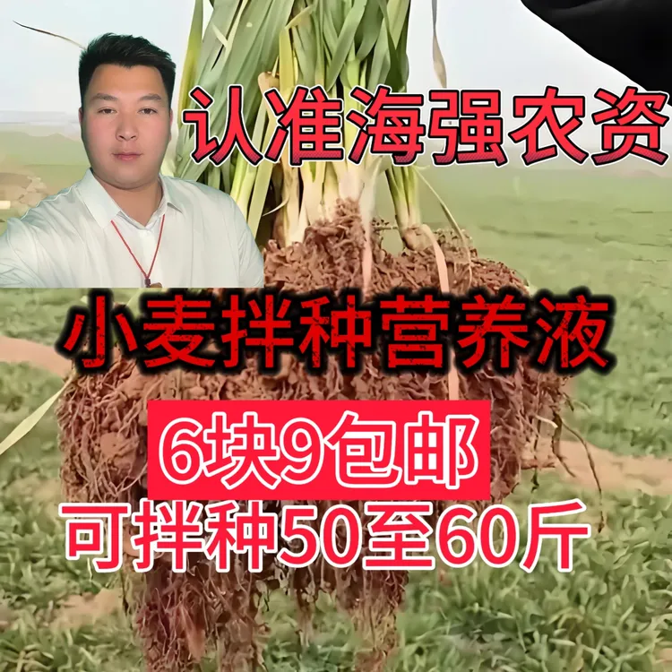 小麦拌种营养液一瓶包邮到家