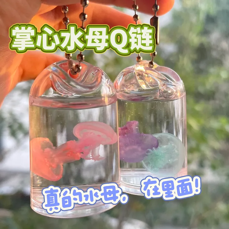 掌心水母Q链·真水母标本挂件赤月水母车载挂件学生书包链【非活体】