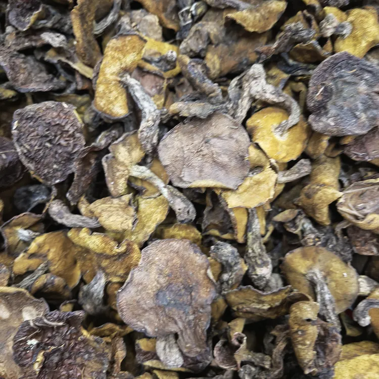 中小号东北野松蘑肠胃不好的一定要少吃容易拉肚子