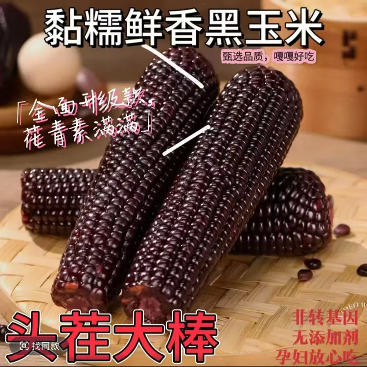 2025年东北头茬黑糯玉米220g/根软糯香甜整箱10根