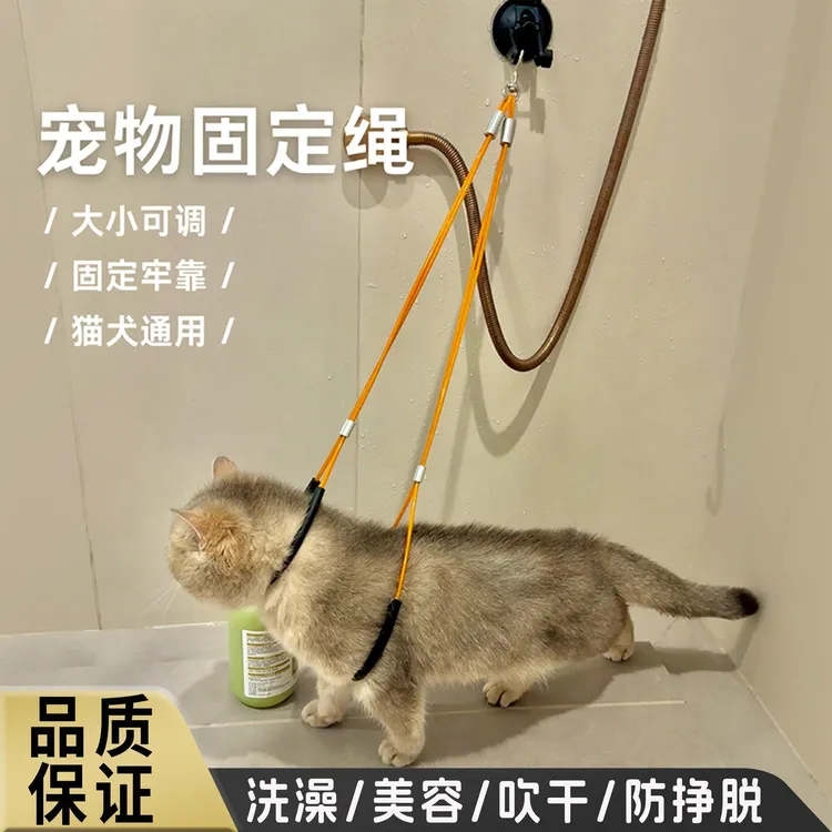 猫咪洗澡固定器宠物剪毛洗猫洗狗猫咪固定神器美容台吸盘固定吊绳
