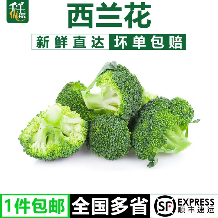 千牛优福西兰花1-5斤 小朵西兰花朵 脆嫩青花菜绿花菜西蓝花椰菜