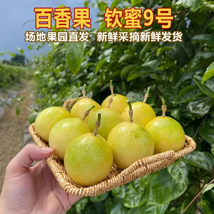 【雪花刀】农民自种百香果钦蜜9号海丰特产绿宝石百香果孕妇水果