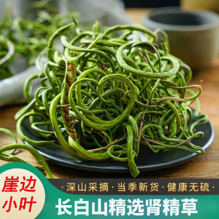 东北长白山化石草石头草黄金草孢子茶泡水喝东北嗷嗷叫肾精茶