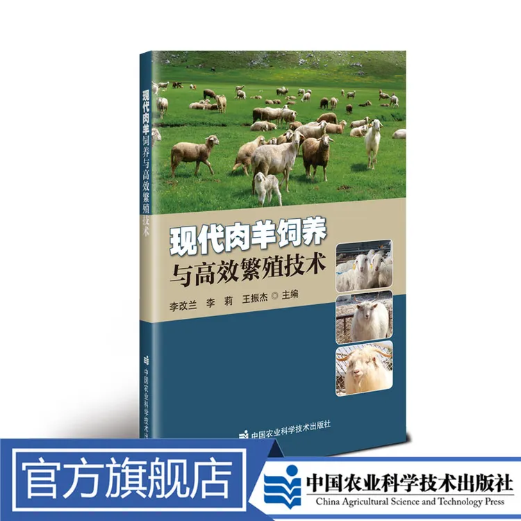 正版包邮 现代肉羊饲养与高效繁殖技术 李改兰