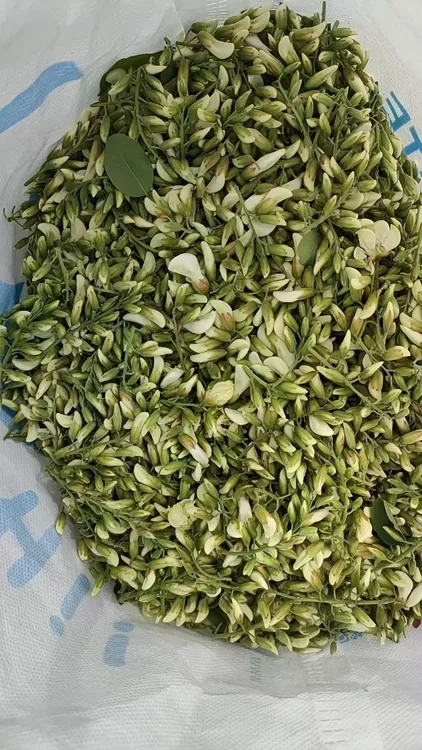 槐花开了时令鲜花是家乡的味道