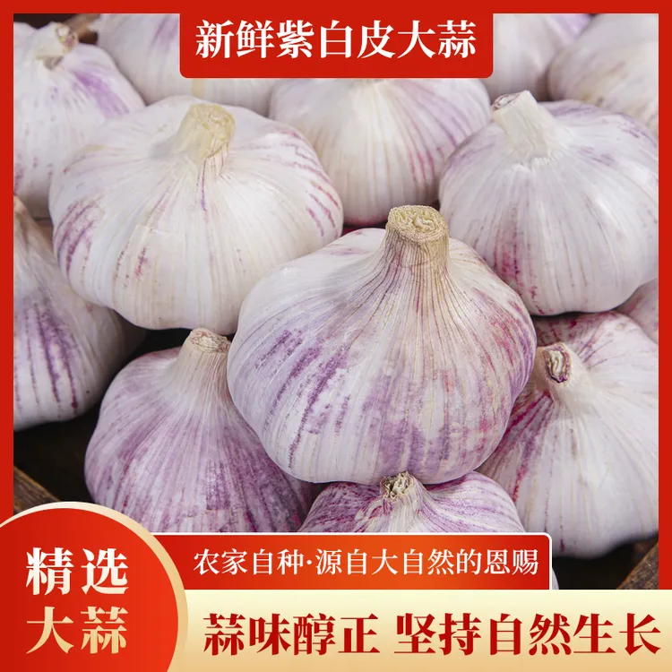 大蒜头干蒜太空紫皮大蒜5斤干蒜祘头种籽