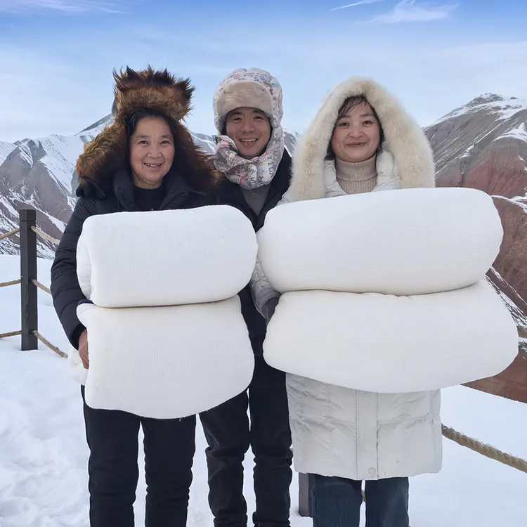 【川南妹儿甄选】新疆棉花被子被芯纯棉被子冬被加厚褥子棉絮软包边