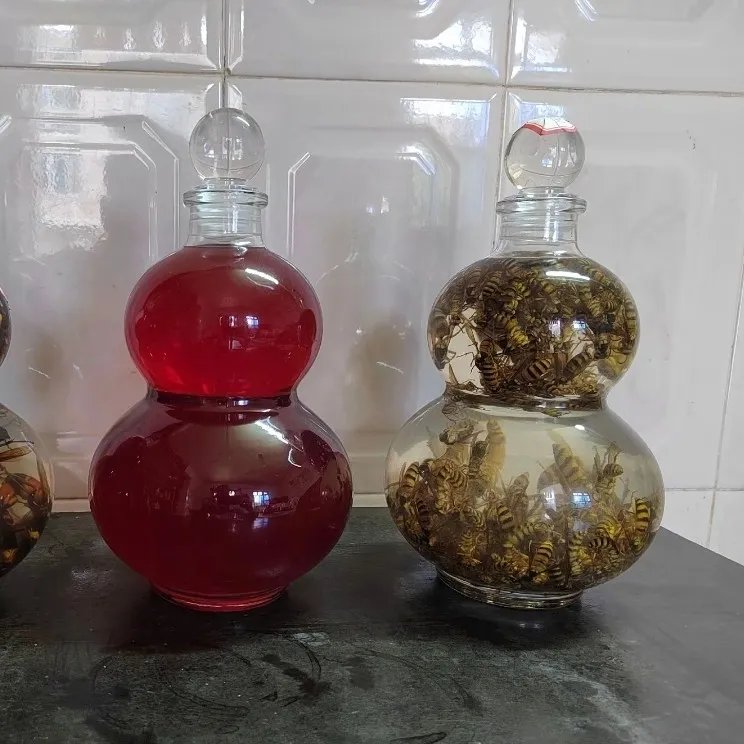 广西金环诱蜂水300只