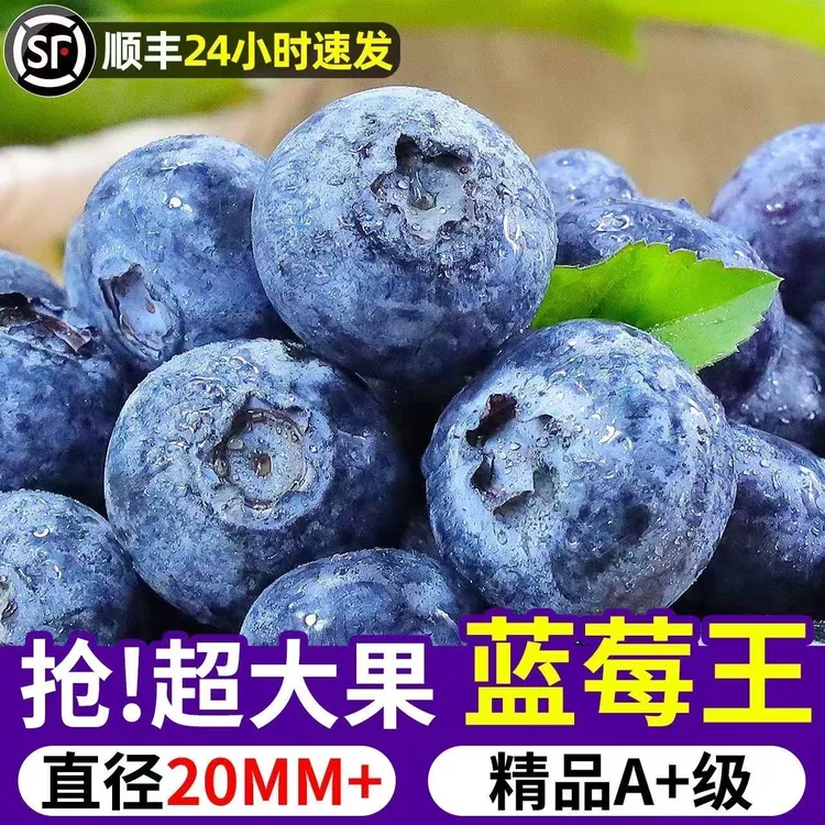 【顺丰包邮】丹东蓝莓花香蓝莓新鲜采摘孕妇宝宝水果香甜多汁蓝莓