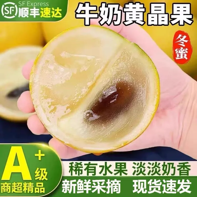 【顺丰包邮】云南稀有牛奶黄晶果新鲜黄宝石冬蜜果孕妇当季高端水果