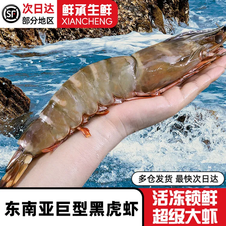 鲜承 东南亚进口黑虎虾老虎虾2-6斤多规格 礼盒装家庭装