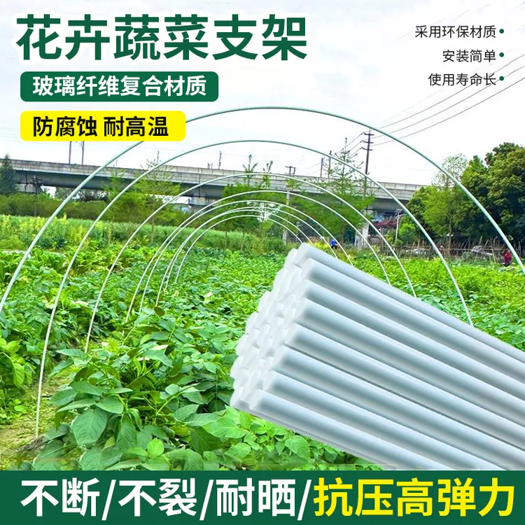 玻璃纤维拱棚支架蔬菜小拱棚蔬菜植物爬藤架阳光棚蔬菜棚黄瓜架杆