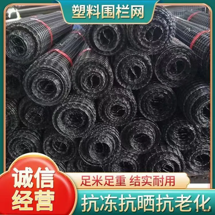 塑料网格土工格栅圈玉米网养鸡围网大棚兜水网栅栏小孔养殖网护栏